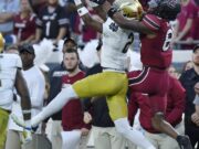 Possivelmente livros Rascunho define seu próprio dia profissional para equipes de destino