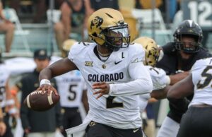 Fil Sims ficaria surpreso se os Giants fizessem o rascunho de Sanders de Shedu