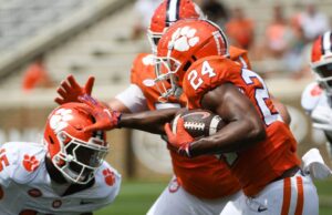 Quarto árabe de Clemeson para 2025 Dabo Swine Dabo