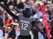 Browns 2025 NFL Draft Top -30 View Tracker