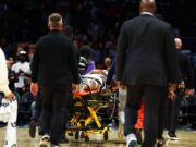 O novato Grizzleez se estendeu após lesões assustadoras