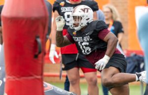 DT Aneas Peugules Nome Best Day Fit para 3 Jaguars