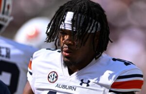 Adoro entrar no portal do portal de proteção Terns Transfer Portal