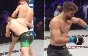 Davis Stans chamado por chamado