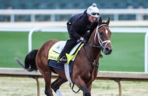 Parou o treino do jornalismo em Churchill Downs