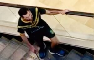 Publicado: Bondi Junction Massacre Pesquise cinco grandes perguntas para responder