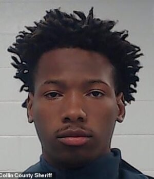 97039163-14596709-Karmelo_Anthony_pulled_out_a_knife_and_killed_Austin_Metcalf_17_-a-258_17443126174.jpeg