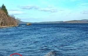 Loch Ness Monster foi publicado novamente? As manchas de bolhas de Nessi Hunter Wave, em seguida, uma forma de ‘Ga Dark ৰ cinza’ que desaparece sob a água