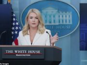 Elon Kasturi e outros separaram a reação das sobrancelhas de Karolin Levit em direção à Guerra Civil de Maga em andamento