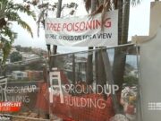 Os rumores que vagam após os subúrbios exclusivos de Sydney estão balançando US $ 25 milhões por veneno de palmeira