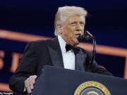 Na investigação da oposição, Trump tomou medidas drásticas contra as faculdades de elite da América