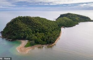 O paraíso da ilha australiana, uma vez inspecionado por A-Listers, atinge o mercado depois que quase uma década foi deixada naufraga
