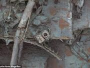 Hunting Titanic 3D Scan são os principais detalhes que revelam como os engenheiros se deixaram para continuar as luzes quando o navio afundou