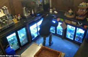 Este é um terno frio! Momento ladrões roubam 100 Magnum Ice Cream em roubo de cafés