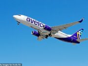 As companhias aéreas populares de baixo preço reduzem várias rotas para usar aviões para deportação de imigrantes