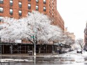 NYC odiado por turistas locais e 8.500 Prepare -se para quebrar os visitantes odiosos de olho