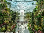 Jardim de Butterfly, Piscina de telhado e chuva – Dignificado, concedido ‘World in the World’ é nomeado Aeroporto – mas não conseguiu fazer a lista do Reino Unido