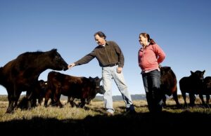 Legend Cowboy distingue o governo dos EUA do que mudanças sutis de penas aleijadas em toda a América