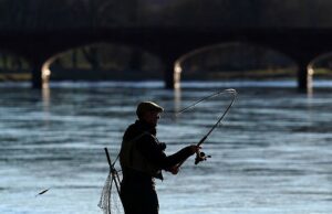 John McLeod: A primavera está exposta a toda a glória, este ano finalmente pegará salmão?