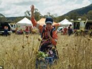 A nova campanha publicitária de Old se torna plana quando Asira reclama os voluntários do SES para ridicularizar a gigante do supermercado