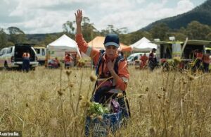 A nova campanha publicitária de Old se torna plana quando Asira reclama os voluntários do SES para ridicularizar a gigante do supermercado