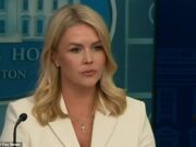 Collin Levit está listado por duas razões pelas quais o inferno na terra dos cidadãos americanos, El Salvadoria, pode ser deportado para a prisão