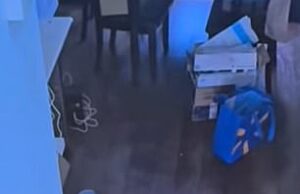 ‘Proprietário Karen’ desrespeitoso atos enquanto os inquilinos tentaram evacuar o tiro pela culatra