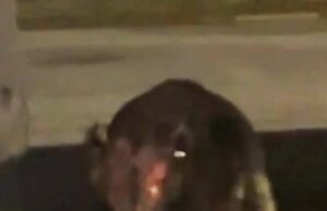 ‘Arrepiante’ é o mistério do momento em que o mistério do momento é semelhante ao sugestão de sangue e um ‘agitador de pele’ rotulado na casa da mulher assustada