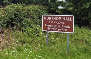 ‘Por que queremos dizer vila de porcos?’ O plano para nomear a pequena comunidade galesa cria odor entre os habitantes locais