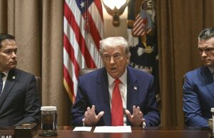 Elon Kasturi revelou que toda a quantidade impressionante do cachorro teria que salvar os contribuintes no próximo ano