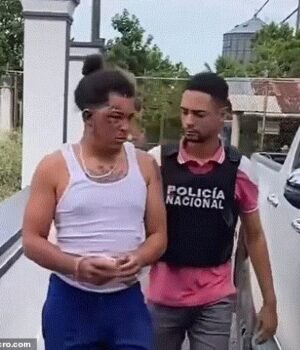 97186233-14600257-Alexis_Tejada_who_is_known_on_TikTok_as_Bokita_RD_was_arrested_T-a-16_174440138215.jpeg