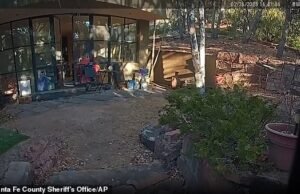A mansão de US $ 4 milhões de Jean Hackman foi “atacada” com o rato e se tornou um “campo de reprodução” para Huntavírus que matou sua esposa Betsy Arakawa – alguns dias depois antes de morrer tragicamente antes de morrer tragicamente.