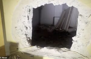 Ladrões desligam o histórico de Hollywood para roubar US $ 10 milhões em jóias da loja LA de propriedade da família