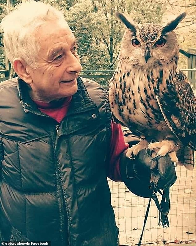 O santuário da OWL, alimentado pelo aposentado, é lixo por US $ 10.000 danos causados ​​por crianças