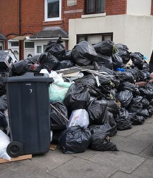 97392973-14624055-City_streets_are_overflowing_with_rubbish_after_Birmingham_City_-a-1_1744936208776.jpeg