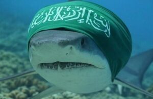 Os trolls foram atacados por Hadera Beach, postando uma foto de usar bandanas do Hamas usando ‘tubarões-semitas’ como resultado de raiva em Israel