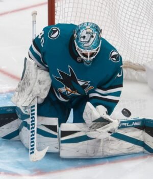 BNG-L-SHARKS-0417-11.jpg