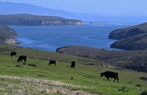 Controverso do Congresso Point Reyes Land – para investigar o Mercury News