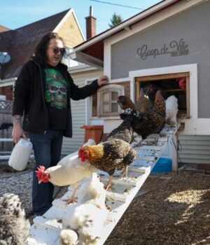 PPN-L-EVR-backyard-chickens-eggs-01.jpg