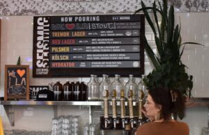 Viagem do dia da BRARE: Sebastopla Berloo