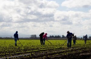 Os advogados de imigração da Bay Area tomaram medidas contra imigrantes contra o governo Trump – Mercury News