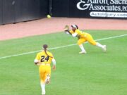 Mizu Softball cai do sul de Illinois