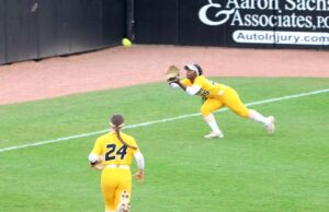 Mizu Softball cai do sul de Illinois