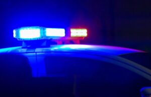 Los Gatos suspeitos rouba US $ 1.200 álcool de valor de Safeway – Mercury News