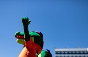 Linha de destaque -Backers com muitas opções
