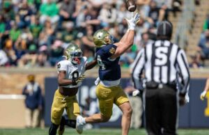 Decodificar o que é importante a partir da miragem do jogo de ouro azul de Notre Dame