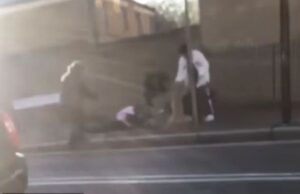 Novas regras estritas para donos de cães em Londres: o Conselho traz restrições após atacar