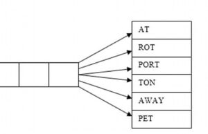 Encontre-se com os irmãos mais inteligentes da Grã-Bretanha: o irmão e a irmã de 11 anos se juntam a Mensa–ele já é mais inteligente que Einstein, ele é um poeta que lidera uma banda de rock e eles têm um QI combinado de 314