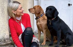 Eu era benzinando quatro dias por semana. Meu cabelo caiu, bati meu carro e meu irmão quebrou depois que saí do meu quarto de infância. Existem alguns milhões como eu: Hanna Vine