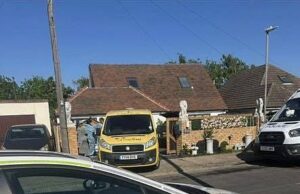 ‘Save a Pao UK’ apareceu no tribunal depois que 37 cães encontrados mortos em ‘Save A Pao UK’ durante um ‘animal desaparecido’